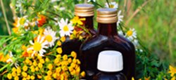 Plantas medicinales